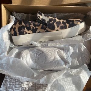 Leopard clog by Steve Madden